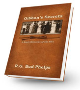 book-cover_gibbons-secrets_SM